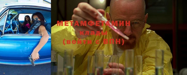 прущие грибы Белокуриха