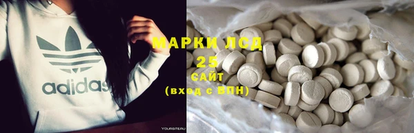 прущие грибы Белокуриха