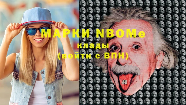 прущие грибы Белокуриха
