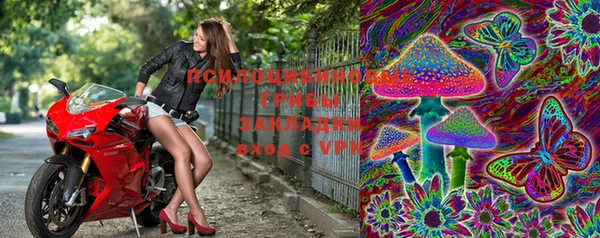 ECSTASY Лабытнанги