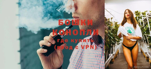 прущие грибы Белокуриха