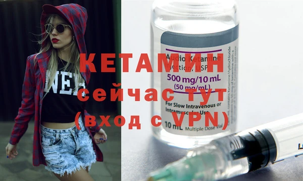 прущие грибы Белокуриха
