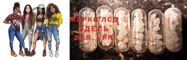 прущие грибы Белокуриха