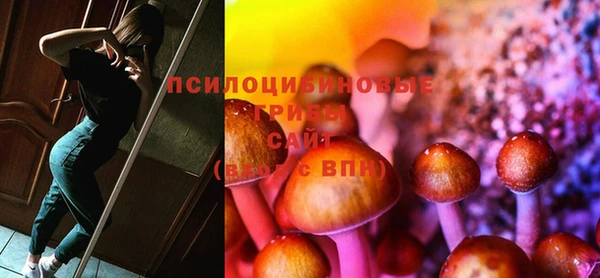 прущие грибы Белокуриха