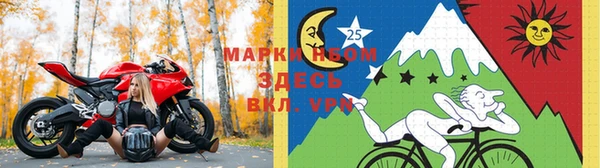 прущие грибы Белокуриха