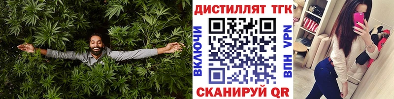 цены   Шагонар  ТГК THC oil 