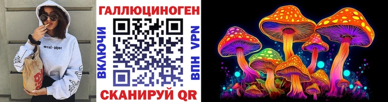 наркошоп  Шагонар  Галлюциногенные грибы Cubensis 